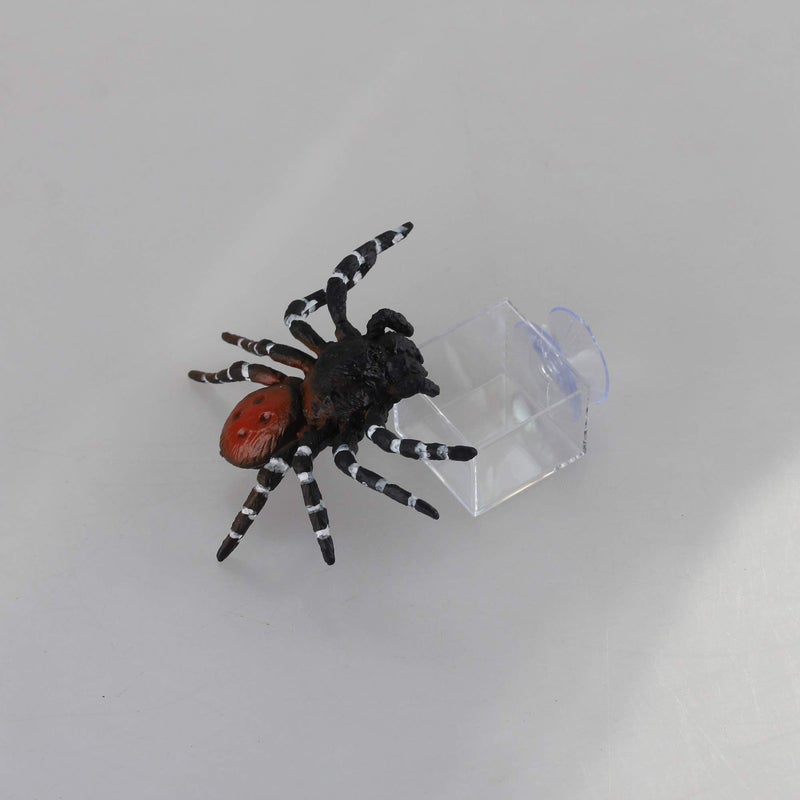 crapelles 4pcs mini Insect Water Dish, Transparent Plastic, Small Reptile Feeding Feeder, Crickets Pet Worm Cups Spider Gecko Butterfly Mantis Beetle Bowl Set - Image 4